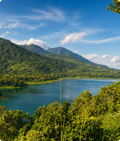 bali jungle treeking