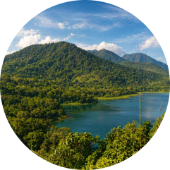 tamblingan jungle trek