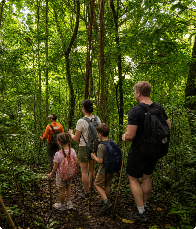 Tamblingan Rainforest Trekking with Kids