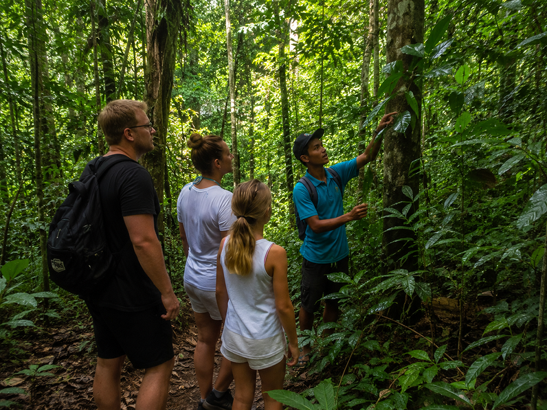 family trekking experience in tamblingan