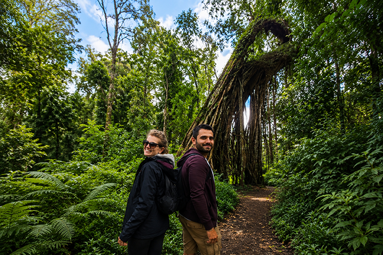jungle-trekking-tamblingan