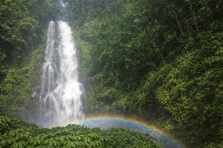 munduk-waterfall-trekking