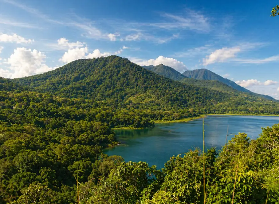 Best Time for Tamblingan Jungle Trekking