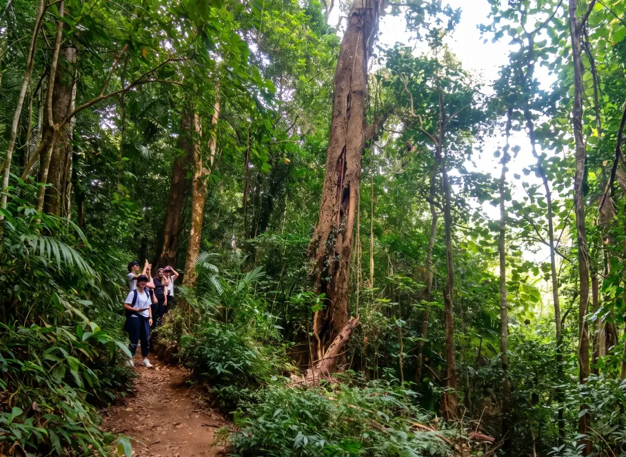 what to expect on a Tamblingan Jungle trekking