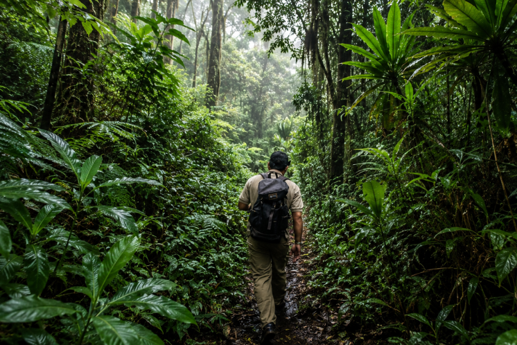 bali jungle trekking