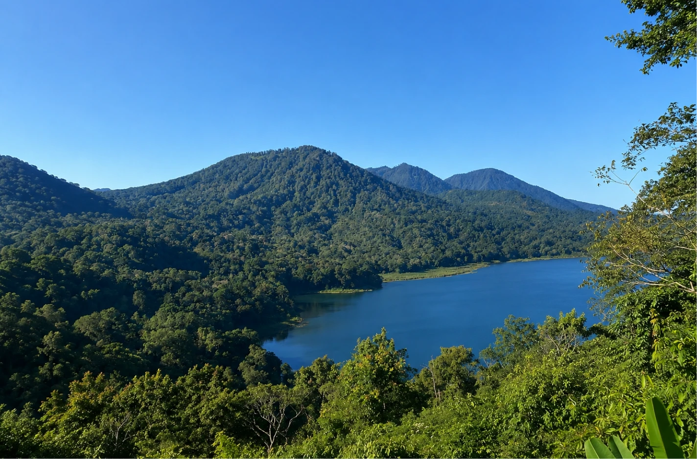 Bali Jungle Trekking