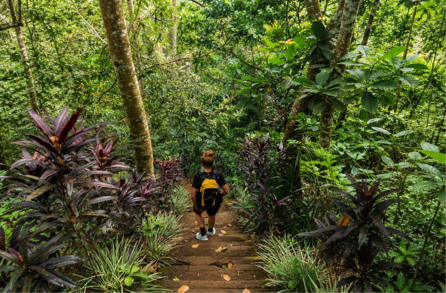 munduk-jungle-trekking