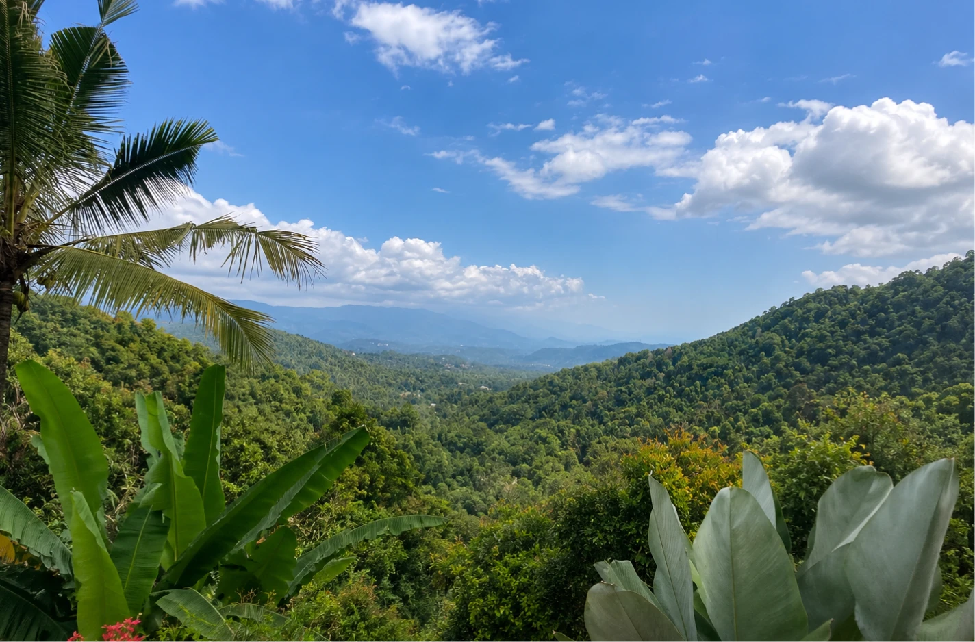 tamblingan-jungle-trekking