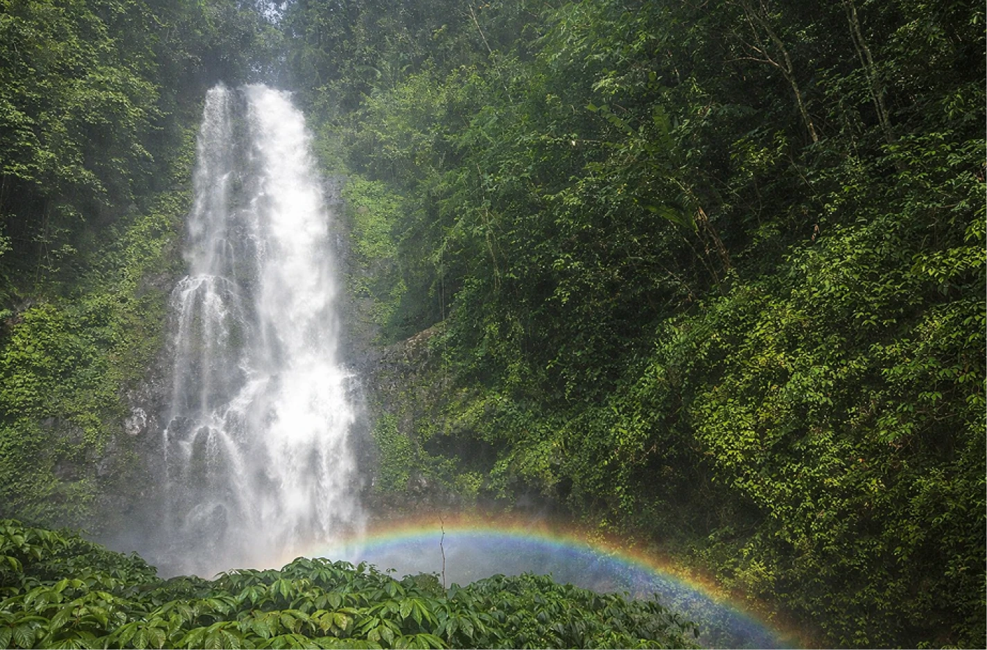 waterfall-bali-jungle-trekking
