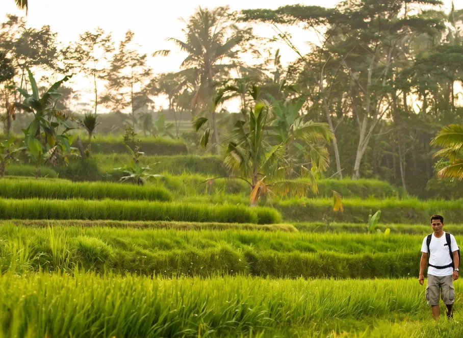 bali jungle trekking
