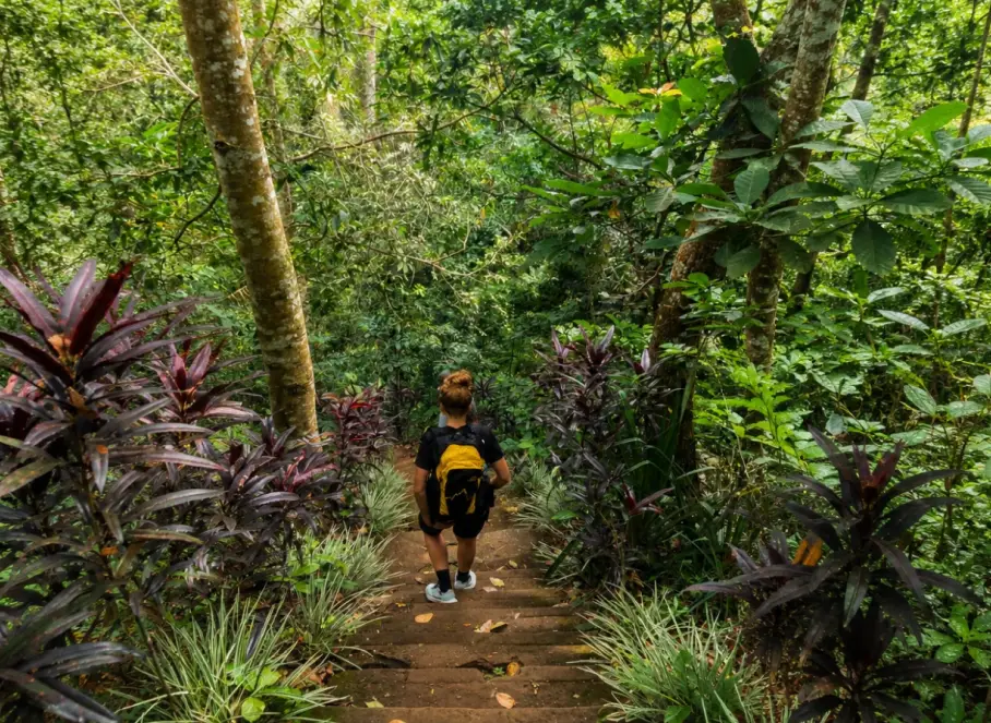 bali jungle trekking guide