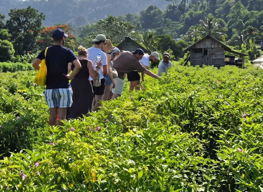 bali jungle trekking packages